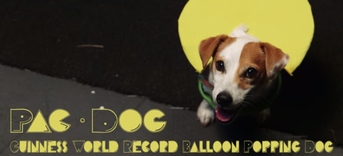 El homenaje canino a Pac-Man - ¡Pac-Dog!