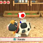 Story of Seasons: Trio of Towns - Traje de Toad