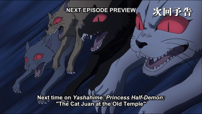 Hanyo no Yashahime y la pelea contra... ¿el Gato Juan?