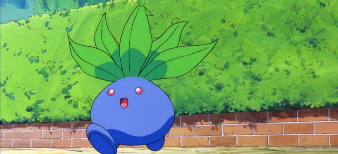 Entrenadores Pokemons - #43 Oddish Oddish es un Pokémon de tipo planta/ veneno introducido en la primera generación. Oddish es un pequeño y muy  común Pokémon que pasa el día bajo tierra dejando