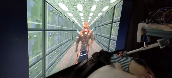 Doom II: ¿Verías un canal de Twitch con ratas jugándolo?