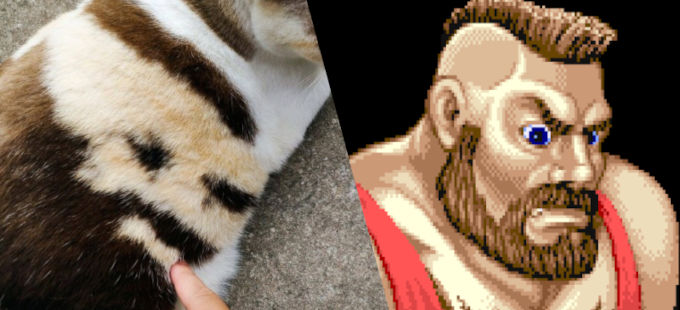 El ‘gato Zangief’ de Street Fighter enloquece a Japón