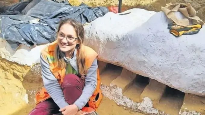 Chainsaw Man: Conozcan al Pochitaserra patriciacanalae, el tiburón sierra Pochita