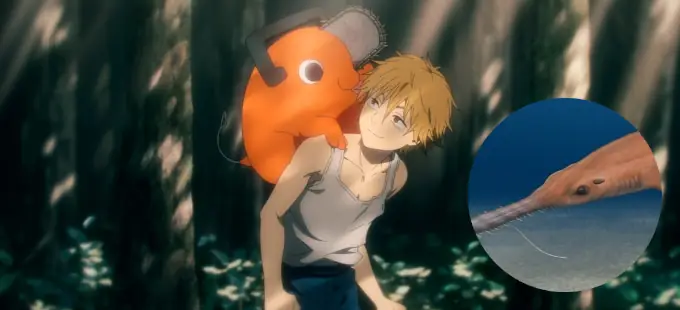 Chainsaw Man: Conozcan al Pochitaserra patriciacanalae, el tiburón sierra Pochita