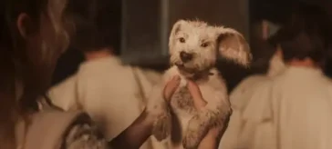 Supergirl tiene un nuevo tráiler con Krypto desde el Super Bowl LX